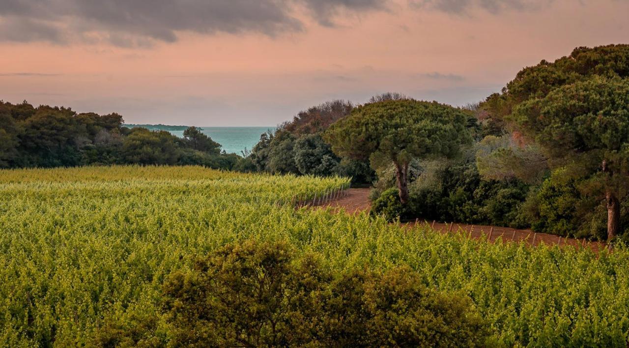 Masseria Mongio Dell'Elefante Otranto Exterior photo