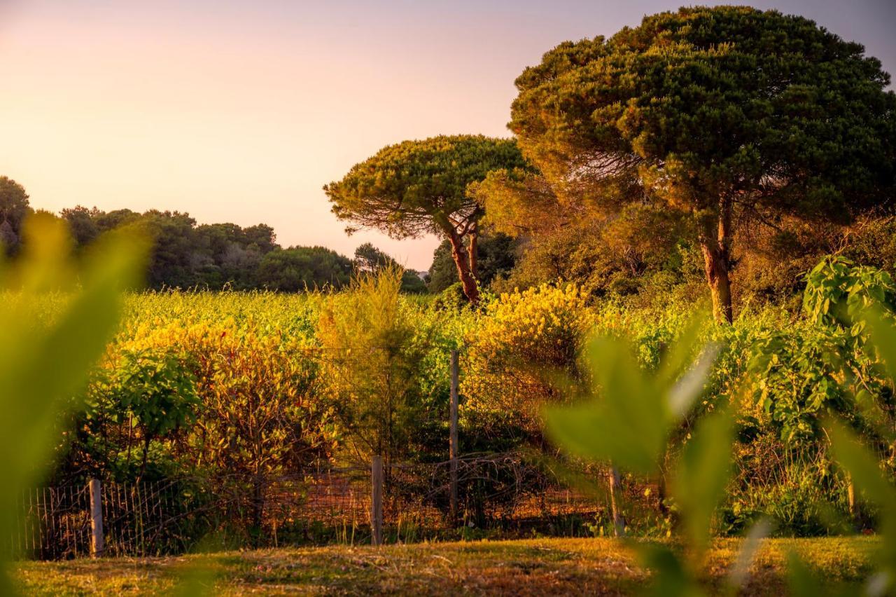 Masseria Mongio Dell'Elefante Otranto Exterior photo